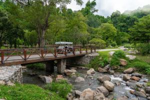 Flora Creek Chiang Mai