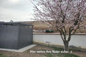 Altstadtperle