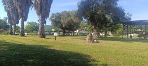 Edens Garden Kalamitsi