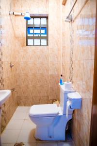 Oasis Apartments -South B