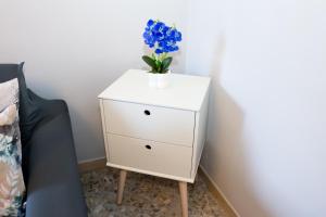 Rosas House - Spacious Apt in the Center with Balcony