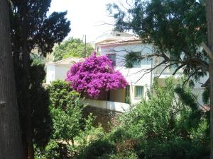 KARMI Apartments Andros Greece