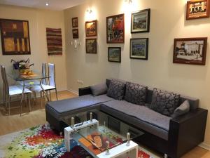 AMN Center Apartment