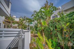 The Secret Garden -Studio Apartment in Kapparis