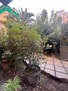 NAPartment - Spaccanapoli