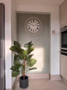 Convenient apartment with Private Garden, Shawbury