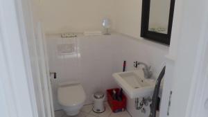 Gut-Rattelvitz-Galerie-E-hochwertig-Sauna-Kamin-eTankstelle-Spielscheune-15-000qm-Park-Land