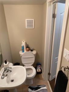 Spacious Basement with Private Bathroom and Entrance