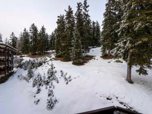 Studio mezzanine avec entrée montagne, balcon au pied des pistes - FR-1-690-30