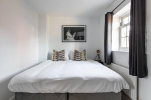 Wild Roses - The Maple House - Beaulieu Park