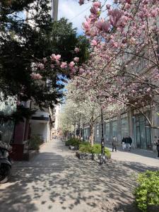 Lella Apartment - Pedestrian zone & Charming balcony