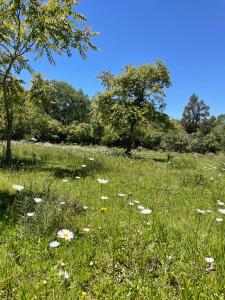 Minicasa La Alemana Tandil