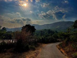 Alloos homestay villa