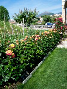 Guest House Arancia145