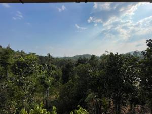 Alloos homestay villa