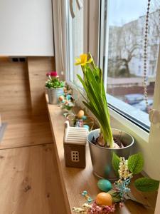 AL-DOM Apartamenty Miły Zakątek w centrum