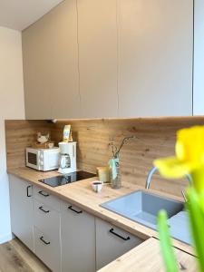 AL-DOM Apartamenty Miły Zakątek w centrum