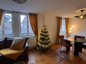 Appartement au cœur de Sélestat