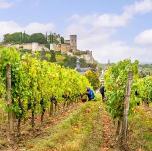 L Arlequin Proche CNPE Rez de Chaussée