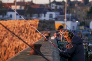 Net Loft- homely accomodation in East Neuk