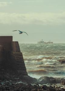 Net Loft- homely accomodation in East Neuk