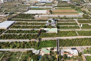 Finca LOS LLANOS