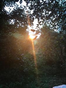 The Shangri La sunset yurt