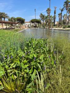 TOUT A PIED Dernier étage Vue imprenable EST-SUD OUEST mer -plage 100m-box