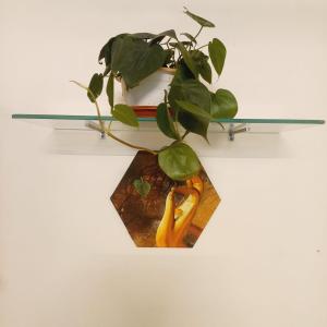 lovely room in kp 102