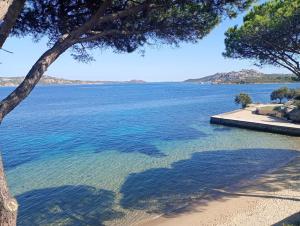 Seaside Home - Palau img16