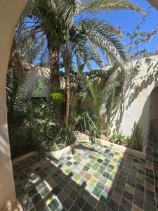 Dar Daoud - Les Houchs De Djerba