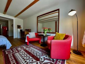 Studio Auenland