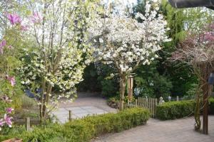 Balistyle guesthouse incl Jacuzzi near Amsterdam and Schiphol