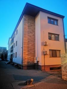 Cluj City Marasti Apartament 2