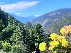 YNL HOMESTAY a boutique hotel