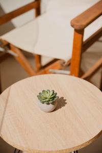 Indigo Seaside Experience