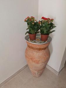 La casetta