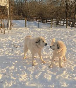Gettysburg Farmstead Farm-Stays