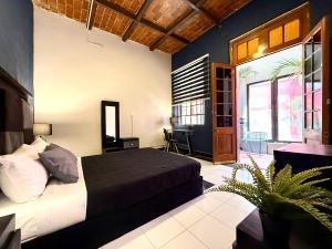 Roomies Hostel - Roma Norte