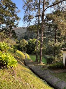 Sitio vale das araucarias