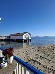 1 bedroom apartment Serena Golf View