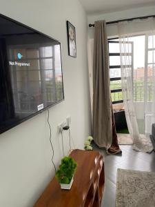 majety homes