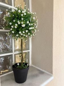 Takis Studios Studio Dimitra