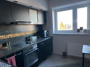 Andrelle Rental
