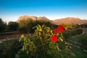 Skamagkas G. Apartments