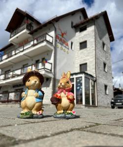 Pensiune Rara Paltinis