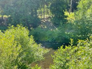 Wellness & Nature Hostel