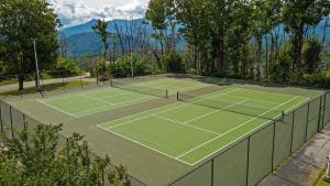 Chalet Edelweiss ~ Breathtaking Views of Mt. Le Conte and Skiing~