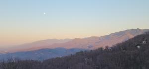 Chalet Edelweiss ~ Breathtaking Views of Mt. Le Conte and Skiing~