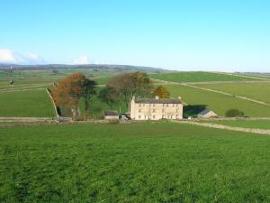 3 New Houses